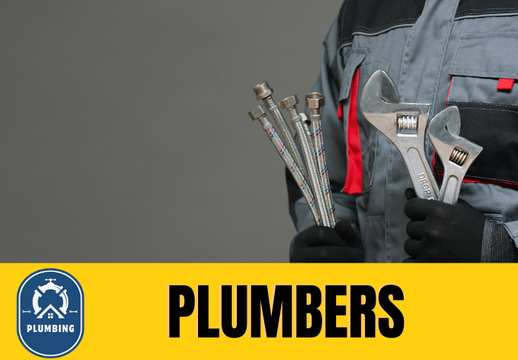 plumber Palacefields
